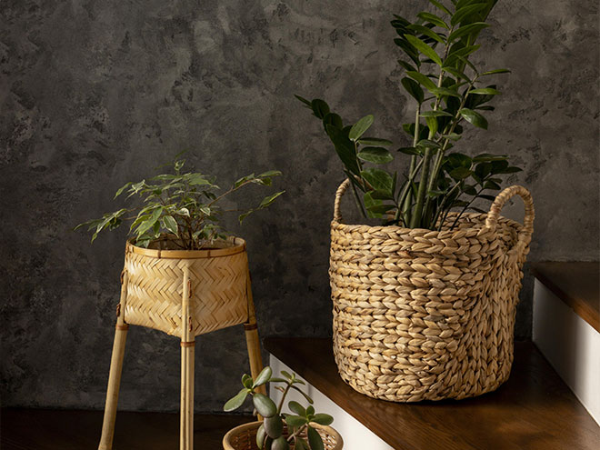 top interior design trends for 2024